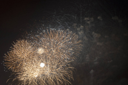 烟花在夜空上的假期