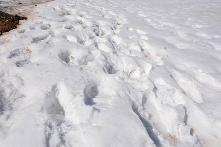 景观的山雪在圣地亚哥，智利