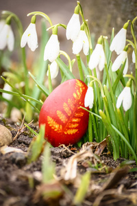 美丽红复活节彩蛋在花园里