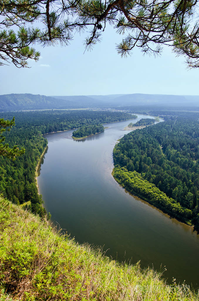鸟瞰图的低地森林的一个夏天在飞行期间河