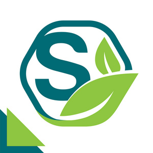 环保健康抽象的标志图标叶概念, 环境, 健康, 绿色环保技术结合字母 s