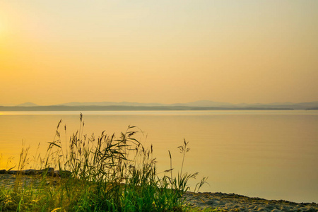 金色的日落在一个湖的岸边与植物的剪影, 乌夫迪, 乌拉尔, 俄罗斯