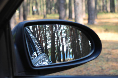 横向汽车镜子与夏天松树林图片