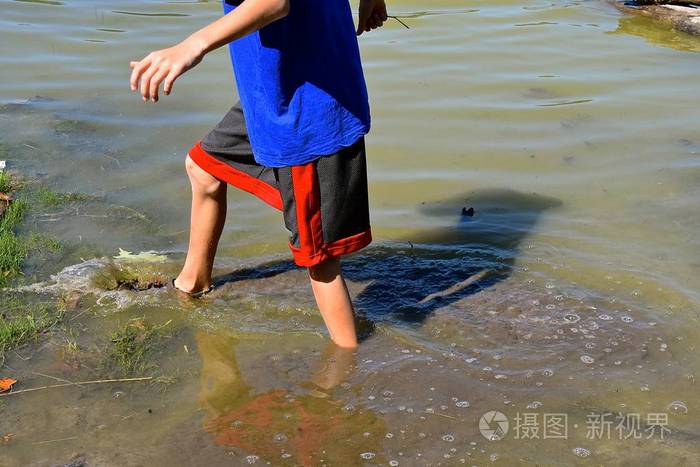 小男孩在欢乐的沼泽水域涉水