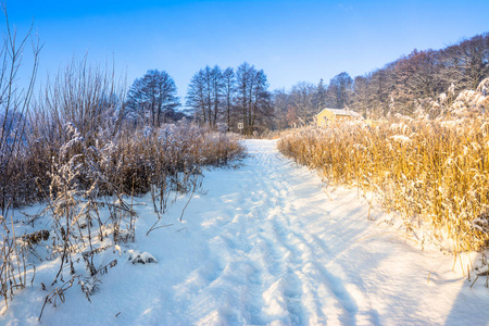 冬季仙境与道路在雪, 农村风景