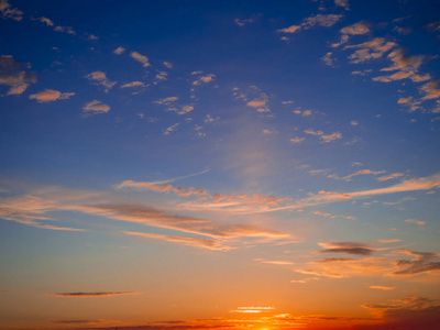 即时照片,色调图像树和树枝剪影在日落黄色橙色在天空美丽的风景自然