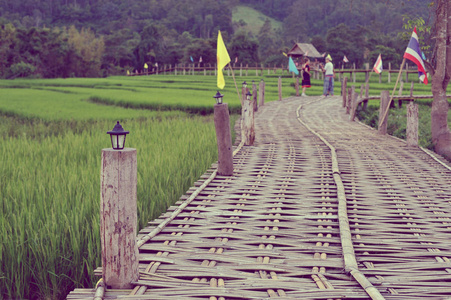 绿色水稻有机田和竹桥, 美丽的景色