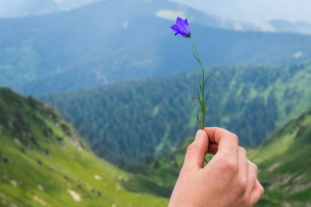 女手山背景着一朵花.水平框架照片