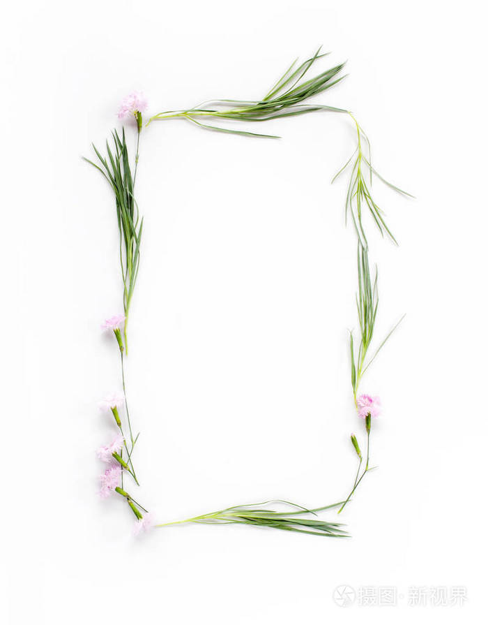 花组成框架由粉红色康乃馨花