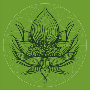 对称的大花图片-对称的大花素材-对称的大花插画-摄图新视界