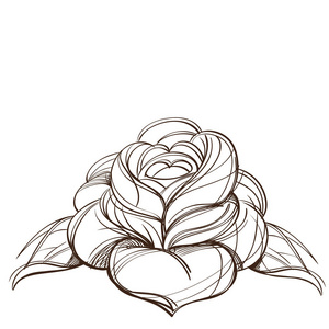 手工绘制的玫瑰设计元素