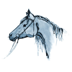水彩手绘画缰绳上白色的马头