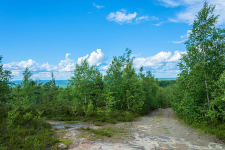 卡累利阿 vottovaara 山自然保护区的道路