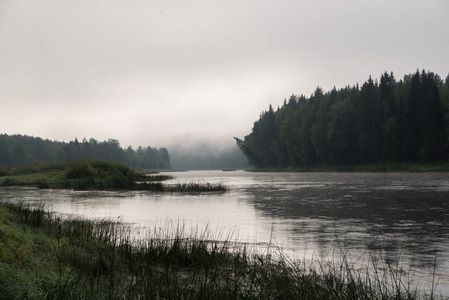在早晨雾在河上