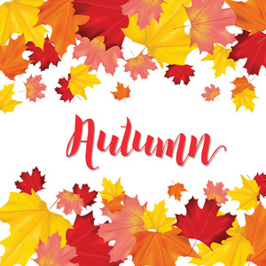 多彩的卡或横幅与秋天的树叶在向量与文本的地方