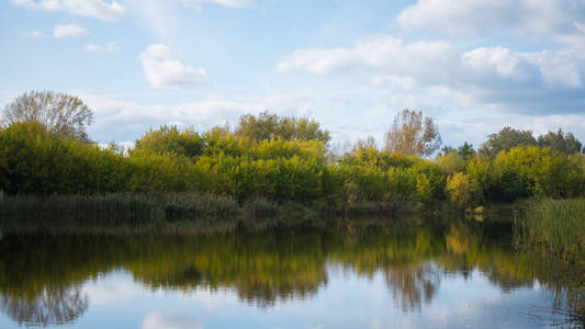 在公园里，泛黄的树，沿着海岸的一个小湖。反射的天空和树木在湖中之水。一个美丽的风景优美的地方