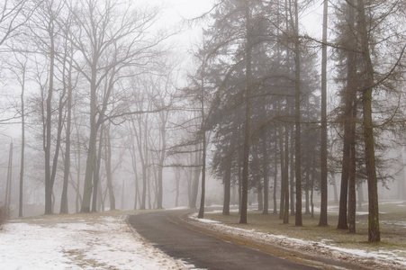 雾中冰雪城市公园图片