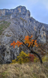 美丽的风景，在山中