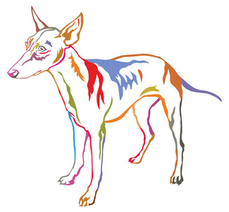 多彩的装饰站的狗 Cirneco 戴尔埃特纳 v 的肖像