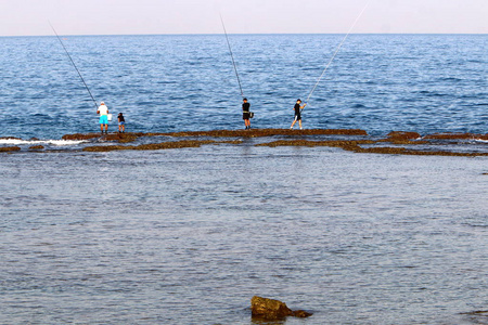 地中海的海岸