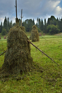 与传统的稻草堆上山坡山的夏天景观。喀尔巴阡典型田园风光