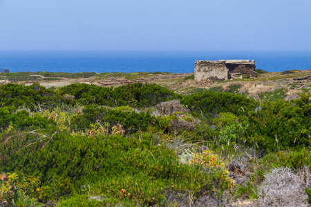 悬崖 鲜花和葡萄牙语的废墟