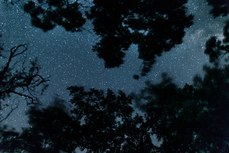 与银河系星空的美丽的风景。在海的夜晚天空背景