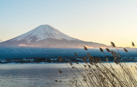 在河口湖山富士 San