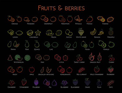概述丰富多彩的线性网络图标集水果与浆果薄大胆