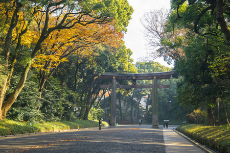 在秋天,日本东京明治神宫的入口照片