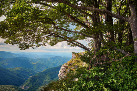 与石灰岩山地景观