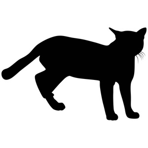 猫的黑色剪影。矢量插画