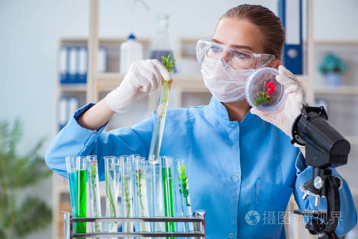 女科学家研究人员进行的实验室试验