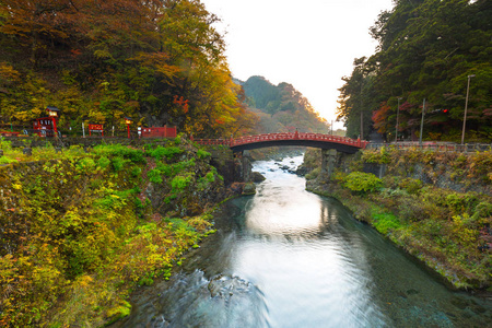 日航在秋天期间新京桥图片