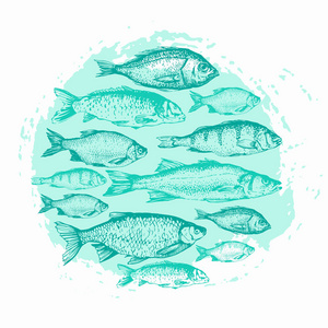 矢量图和草图的鱼。圆形组成。手绘鱼。蓝色的设计。鱼市场。海鲜菜单的海报