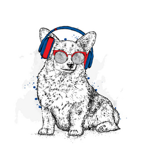 可爱的小狗戴着眼镜，耳机。矢量图的一张明信片或海报，打印的衣服。纯种狗。威尔士科基犬。音乐