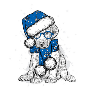 可爱的小狗在新的一年帽子和围巾。矢量插图。血统犬。圣诞老人。新年和圣诞节