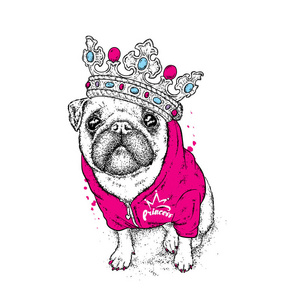 一个漂亮的哈巴狗在夹克和皇冠。矢量插图为明信片或海报, 打印的衣服。狗时髦的衣服。时尚和风格。滑稽的小狗