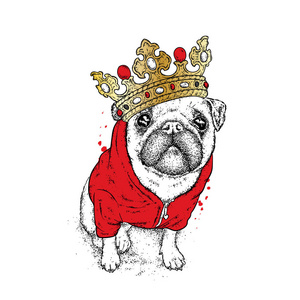 一个漂亮的哈巴狗在夹克和皇冠。矢量插图为明信片或海报, 打印的衣服。狗时髦的衣服。时尚和风格。滑稽的小狗