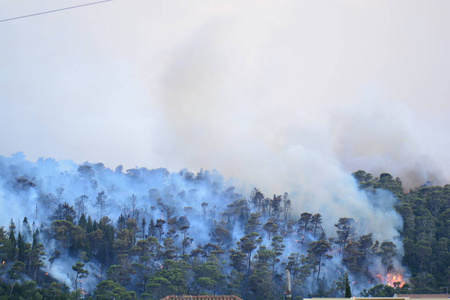 森林火灾。被烧毁的树木后野火 污染和大量的烟
