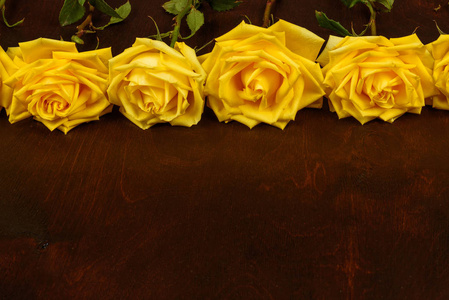 美丽的黄玫瑰，黑色木制背景