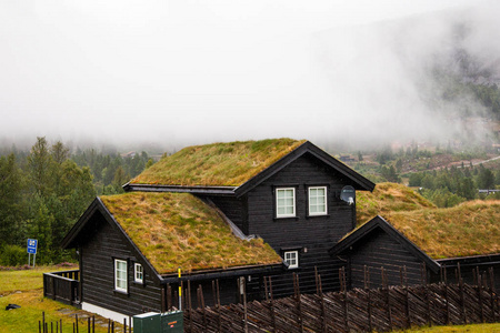 传统的挪威木屋里站在草坪和山在背景上。典型的挪威的房子。典型的挪威房子的房顶上的草