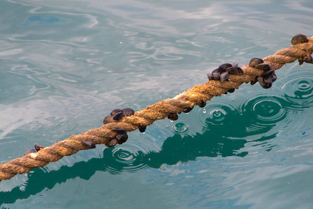 船停靠的钢丝绳