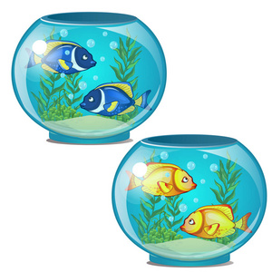 两个圆形水族馆, 有金色和蓝色的热带鱼和海藻。水下世界在家里。白色背景下卡通 sryle 的矢量图示
