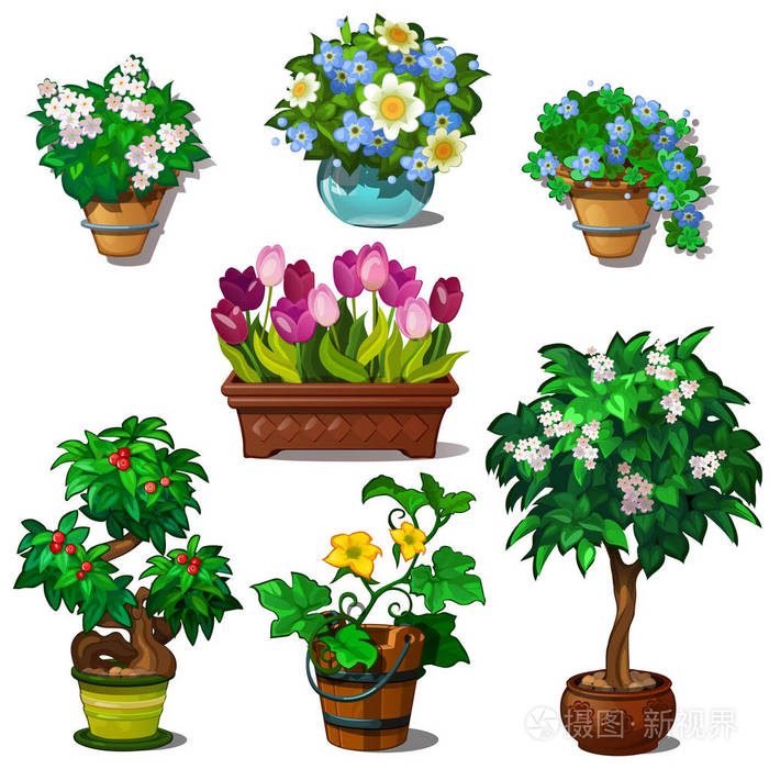 花草盆景树木植物组.在白色背景上孤立的卡通风格的矢量图