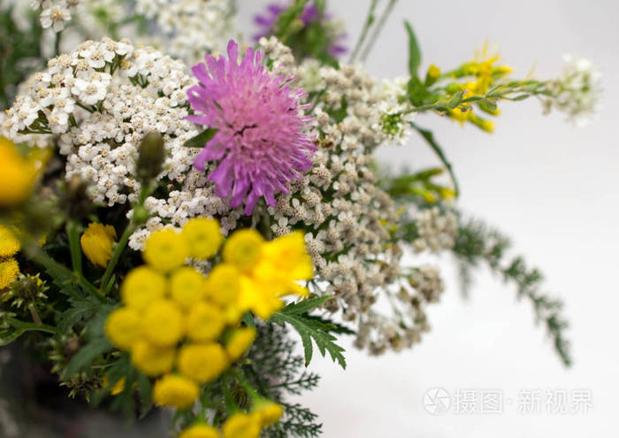 被隔离的田野花花束