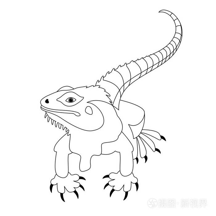 蜥蜴矢量图线描前面