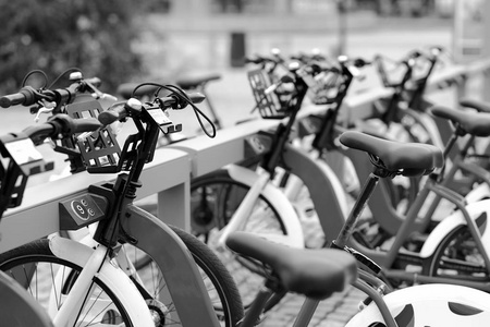 黑色和白色挪威自行车公共庭院背景