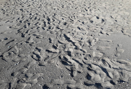 许多的脚步在沙滩上