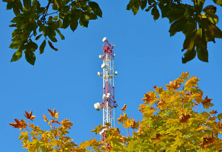 移动电话通信无线电电视塔桅杆细胞微波天线和发射机反对蓝天和树木
